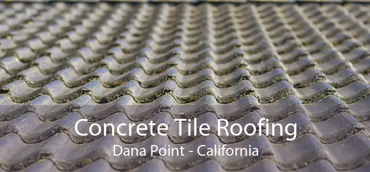 Concrete Tile Roofing Dana Point - California