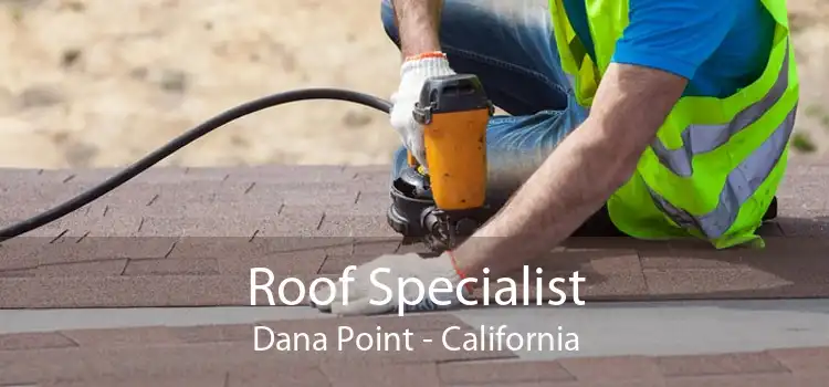 Roof Specialist Dana Point - California