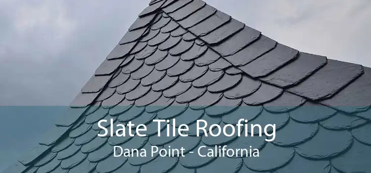 Slate Tile Roofing Dana Point - California