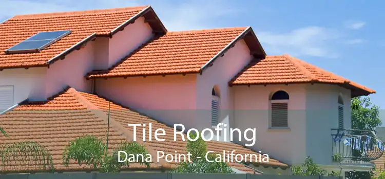 Tile Roofing Dana Point - California